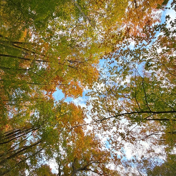 Meet your Posher, Tayyba - Picture 1 of 1